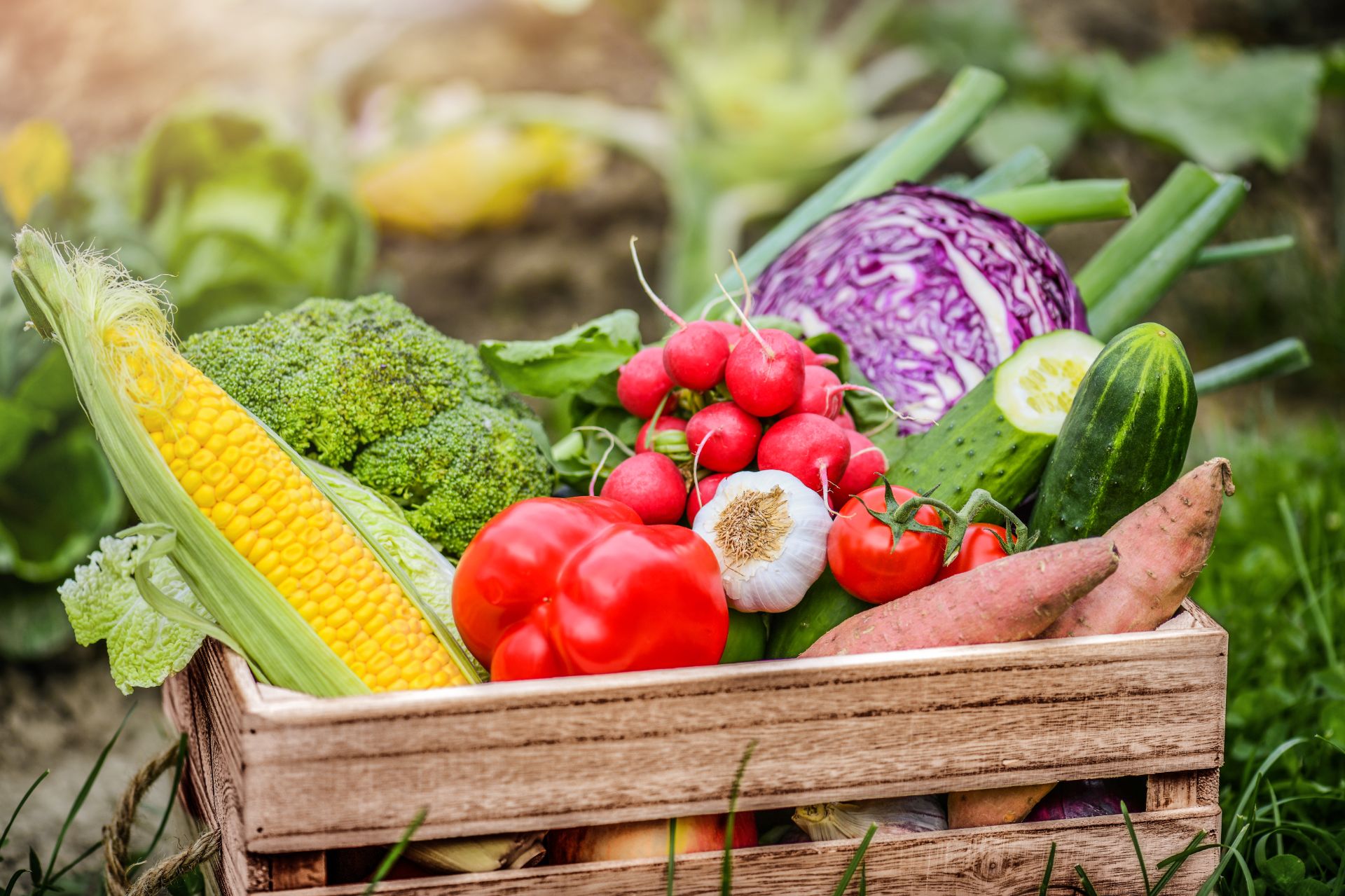 Open Up the Box, New Vegetables